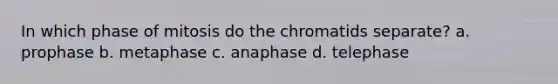 In which phase of mitosis do the chromatids separate? a. prophase b. metaphase c. anaphase d. telephase