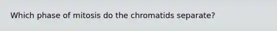 Which phase of mitosis do the chromatids separate?