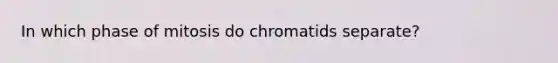 In which phase of mitosis do chromatids separate?