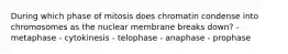 During which phase of mitosis does chromatin condense into chromosomes as the nuclear membrane breaks down? - metaphase - cytokinesis - telophase - anaphase - prophase