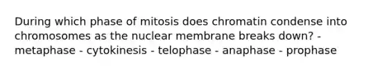 During which phase of mitosis does chromatin condense into chromosomes as the nuclear membrane breaks down? - metaphase - cytokinesis - telophase - anaphase - prophase