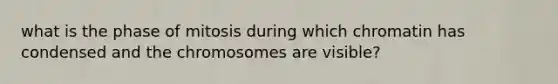 what is the phase of mitosis during which chromatin has condensed and the chromosomes are visible?