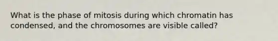 What is the phase of mitosis during which chromatin has condensed, and the chromosomes are visible called?