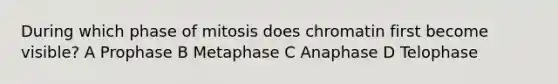 During which phase of mitosis does chromatin first become visible? A Prophase B Metaphase C Anaphase D Telophase