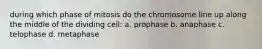 during which phase of mitosis do the chromosome line up along the middle of the dividing cell: a. prophase b. anaphase c. telophase d. metaphase