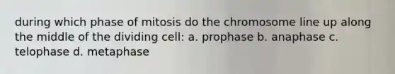 during which phase of mitosis do the chromosome line up along the middle of the dividing cell: a. prophase b. anaphase c. telophase d. metaphase