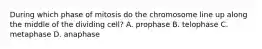 During which phase of mitosis do the chromosome line up along the middle of the dividing cell? A. prophase B. telophase C. metaphase D. anaphase