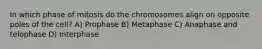 In which phase of mitosis do the chromosomes align on opposite poles of the cell? A) Prophase B) Metaphase C) Anaphase and telophase D) Interphase