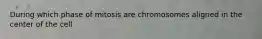 During which phase of mitosis are chromosomes aligned in the center of the cell