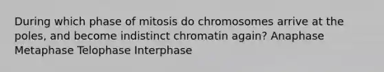 During which phase of mitosis do chromosomes arrive at the poles, and become indistinct chromatin again? Anaphase Metaphase Telophase Interphase