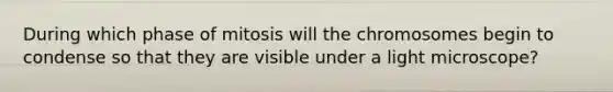 During which phase of mitosis will the chromosomes begin to condense so that they are visible under a light microscope?