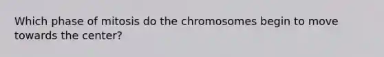 Which phase of mitosis do the chromosomes begin to move towards the center?