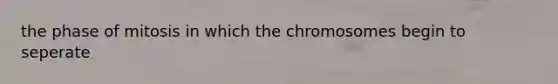 the phase of mitosis in which the chromosomes begin to seperate