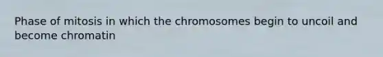 Phase of mitosis in which the chromosomes begin to uncoil and become chromatin