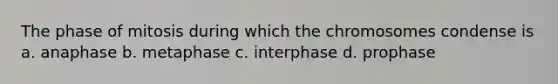 The phase of mitosis during which the chromosomes condense is a. anaphase b. metaphase c. interphase d. prophase