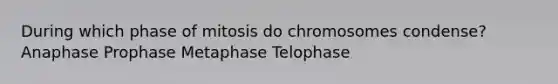 During which phase of mitosis do chromosomes condense? Anaphase Prophase Metaphase Telophase