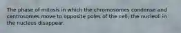 The phase of mitosis in which the chromosomes condense and centrosomes move to opposite poles of the cell, the nucleoli in the nucleus disappear.