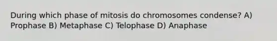 During which phase of mitosis do chromosomes condense? A) Prophase B) Metaphase C) Telophase D) Anaphase