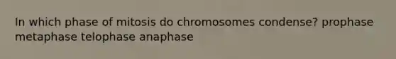 In which phase of mitosis do chromosomes condense? prophase metaphase telophase anaphase