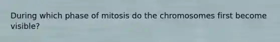 During which phase of mitosis do the chromosomes first become visible?