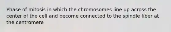 Phase of mitosis in which the chromosomes line up across the center of the cell and become connected to the spindle fiber at the centromere