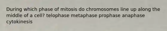 During which phase of mitosis do chromosomes line up along the middle of a cell? telophase metaphase prophase anaphase cytokinesis