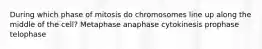 During which phase of mitosis do chromosomes line up along the middle of the cell? Metaphase anaphase cytokinesis prophase telophase