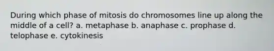 During which phase of mitosis do chromosomes line up along the middle of a cell? a. metaphase b. anaphase c. prophase d. telophase e. cytokinesis