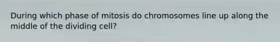 During which phase of mitosis do chromosomes line up along the middle of the dividing cell?