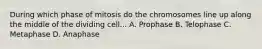 During which phase of mitosis do the chromosomes line up along the middle of the dividing cell... A. Prophase B. Telophase C. Metaphase D. Anaphase