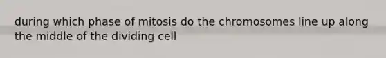 during which phase of mitosis do the chromosomes line up along the middle of the dividing cell