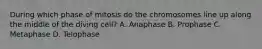 During which phase of mitosis do the chromosomes line up along the middle of the diving cell? A. Anaphase B. Prophase C. Metaphase D. Telophase