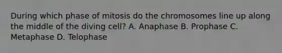 During which phase of mitosis do the chromosomes line up along the middle of the diving cell? A. Anaphase B. Prophase C. Metaphase D. Telophase