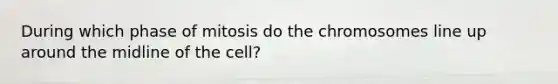 During which phase of mitosis do the chromosomes line up around the midline of the cell?