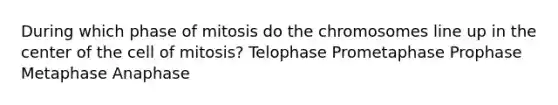 During which phase of mitosis do the chromosomes line up in the center of the cell of mitosis? Telophase Prometaphase Prophase Metaphase Anaphase