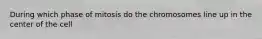 During which phase of mitosis do the chromosomes line up in the center of the cell