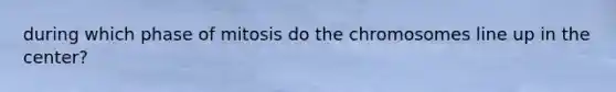 during which phase of mitosis do the chromosomes line up in the center?