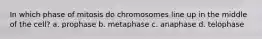 In which phase of mitosis do chromosomes line up in the middle of the cell? a. prophase b. metaphase c. anaphase d. telophase