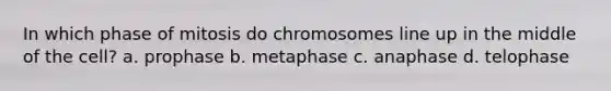 In which phase of mitosis do chromosomes line up in the middle of the cell? a. prophase b. metaphase c. anaphase d. telophase