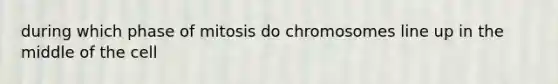 during which phase of mitosis do chromosomes line up in the middle of the cell