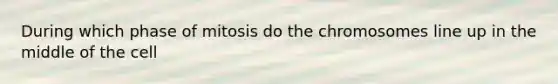 During which phase of mitosis do the chromosomes line up in the middle of the cell