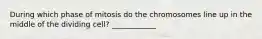 During which phase of mitosis do the chromosomes line up in the middle of the dividing cell? ____________