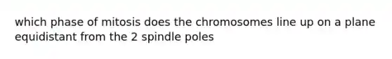 which phase of mitosis does the chromosomes line up on a plane equidistant from the 2 spindle poles