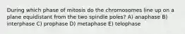 During which phase of mitosis do the chromosomes line up on a plane equidistant from the two spindle poles? A) anaphase B) interphase C) prophase D) metaphase E) telophase