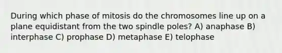 During which phase of mitosis do the chromosomes line up on a plane equidistant from the two spindle poles? A) anaphase B) interphase C) prophase D) metaphase E) telophase