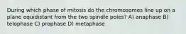 During which phase of mitosis do the chromosomes line up on a plane equidistant from the two spindle poles? A) anaphase B) telophase C) prophase D) metaphase