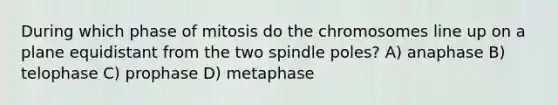 During which phase of mitosis do the chromosomes line up on a plane equidistant from the two spindle poles? A) anaphase B) telophase C) prophase D) metaphase