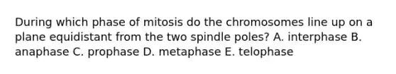 During which phase of mitosis do the chromosomes line up on a plane equidistant from the two spindle poles? A. interphase B. anaphase C. prophase D. metaphase E. telophase