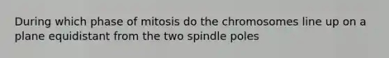 During which phase of mitosis do the chromosomes line up on a plane equidistant from the two spindle poles