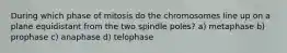 During which phase of mitosis do the chromosomes line up on a plane equidistant from the two spindle poles? a) metaphase b) prophase c) anaphase d) telophase